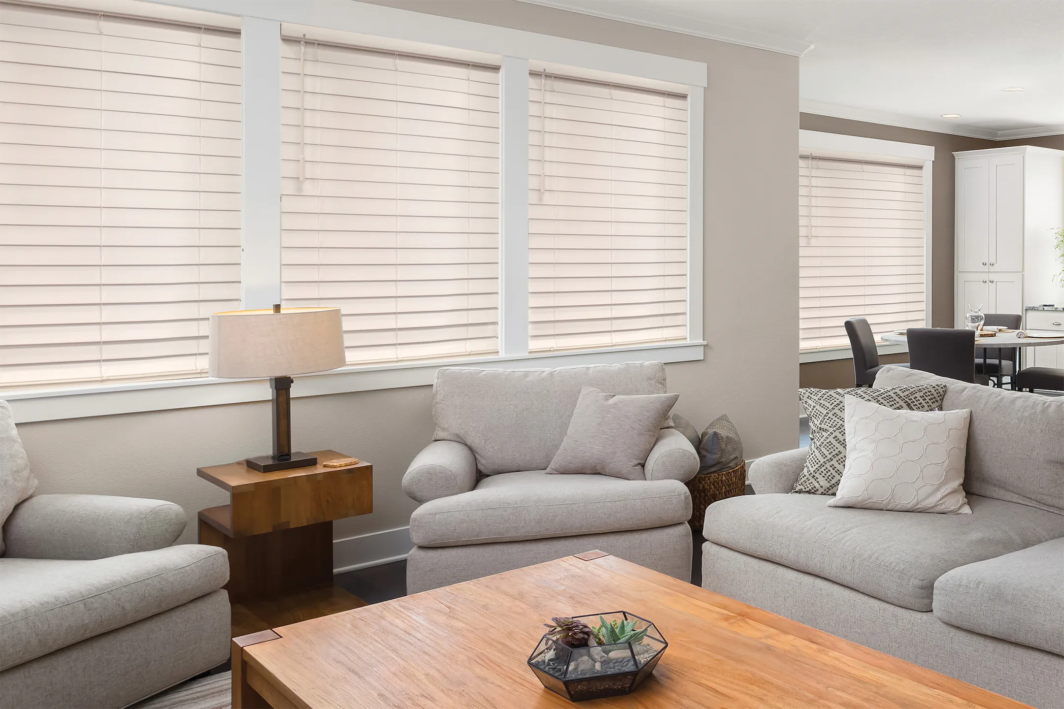 Modern window shades by Southwest Blinds