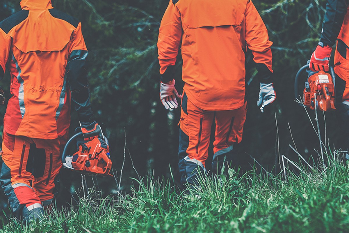 A Valley Tree Care arborist consulting with a homeowner about tree removal